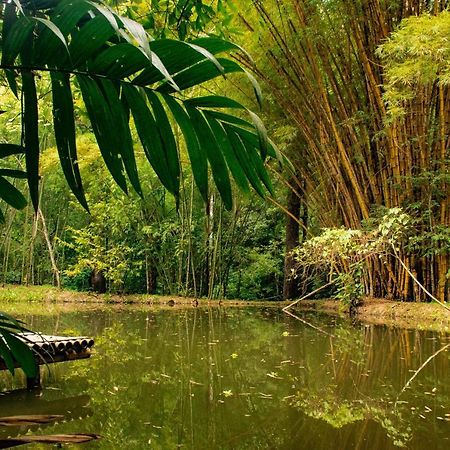 Reserva Biologica Caoba Bonda Buitenkant foto