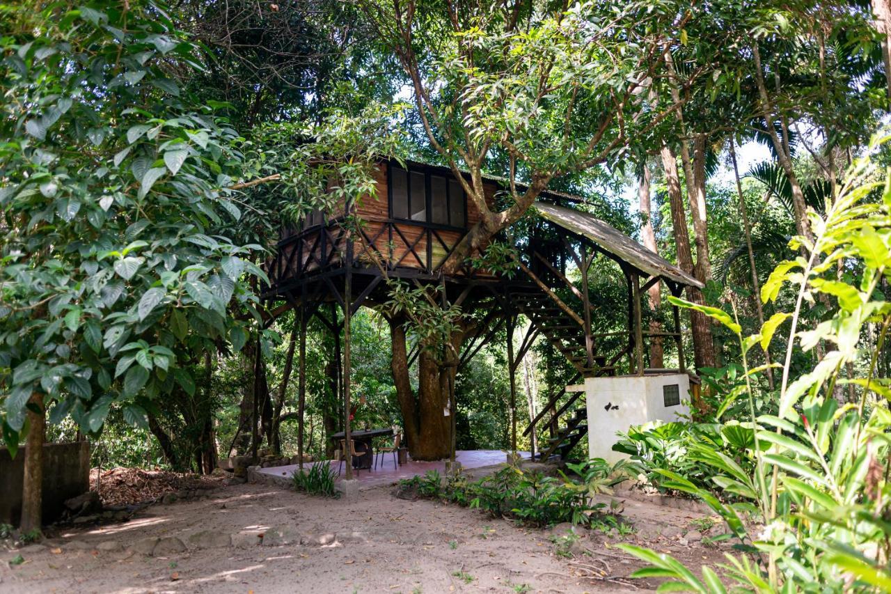 Reserva Biologica Caoba Bonda Buitenkant foto