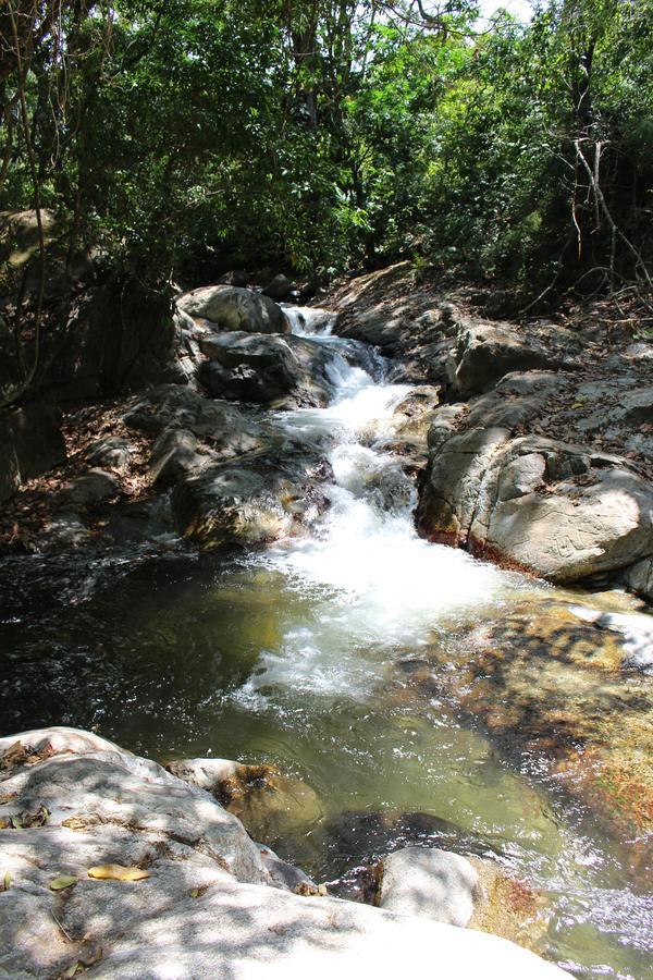 Reserva Biologica Caoba Bonda Buitenkant foto